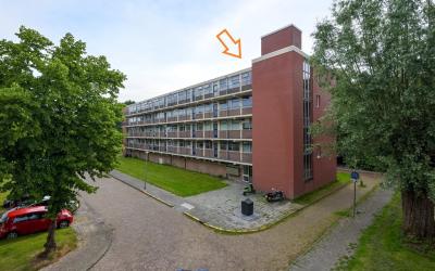 Epe 81