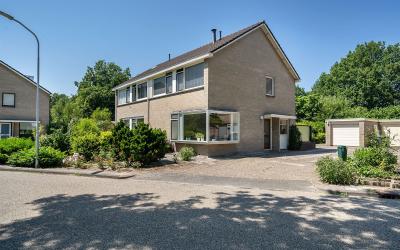 Scheldestra. 51
