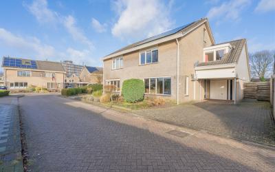 Wolgastraat 11
