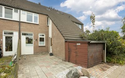 Boekweitveld 4