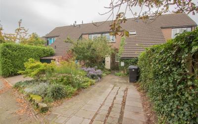 Boekweitveld 45