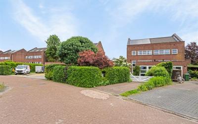 Dilletuin 47