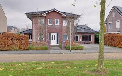 Sandelhout 5
