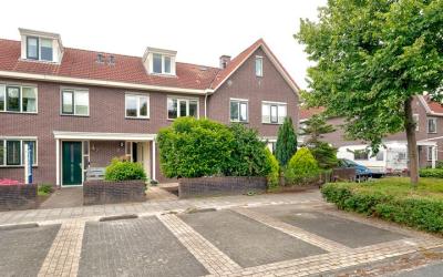 Rosa Spierw. 9