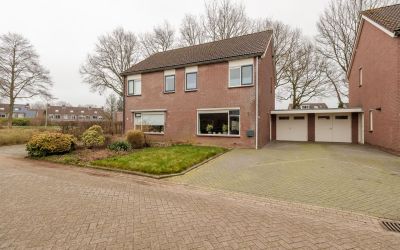 Boterbloem 74