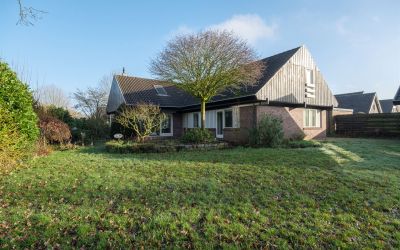Pinksterbloem 26