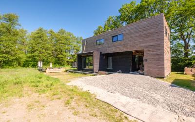 Lievingerve. 522
