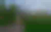 Lieving 7