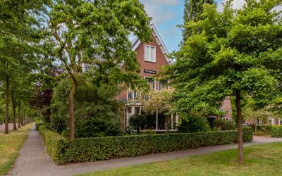Lisdoddelaan 1