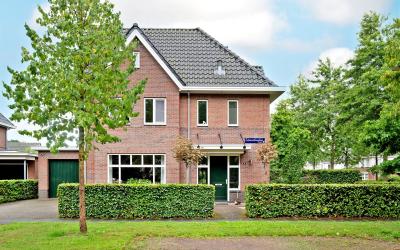 Zilverschoo. 9