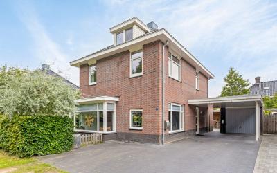 Ridderspoor. 16