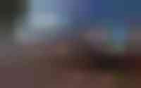 Spurrie 15