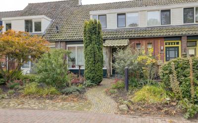 Wielewaalst. 5