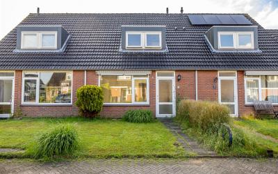 Boerhoorn 3