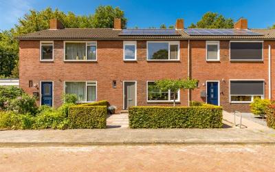 Iepenlaan 8