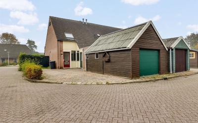 Wollegras 1