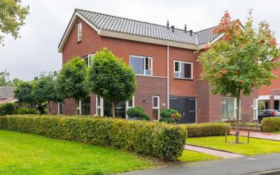 Hamrik 24