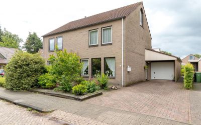 Zanglijster 3
