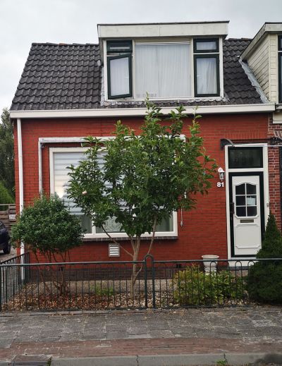 Wilhelminastraat 81