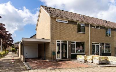 Frieslandla. 24