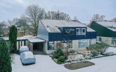 Rensel 41