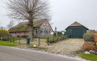 Zandvoorter. 1-A