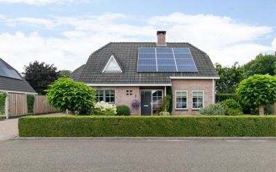 Roerdomp 7