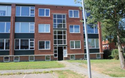 Iepenlaan 28