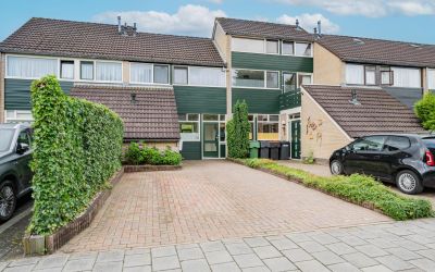 Hermelijnla. 31