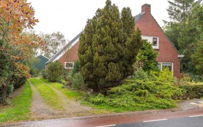 Hoofdweg 12