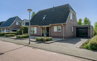 Kampschutte. 13