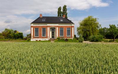 Goldhoorn 27