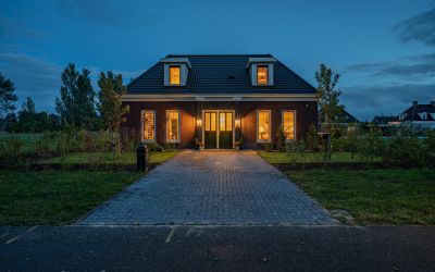 Vliegenzwam 3