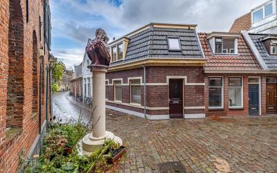 Vishoek 7