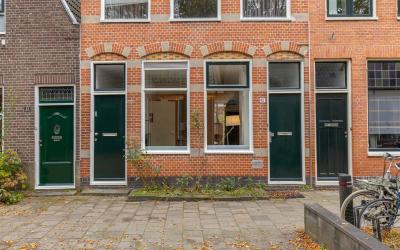 Grote Rozen. 43