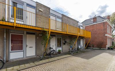 Petrus Camp. 7-D