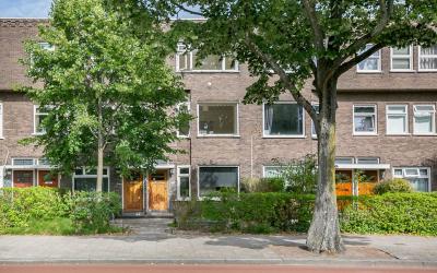 Petrus Camp. 185-A