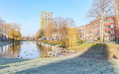 Wielewaalplein 244