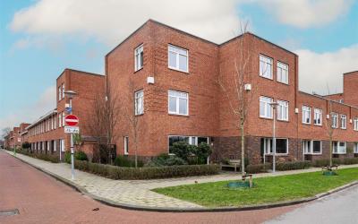 Kraanvogels. 33