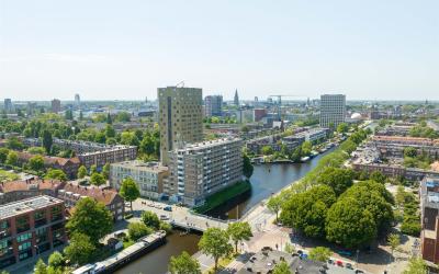 Zaagmulders. 686