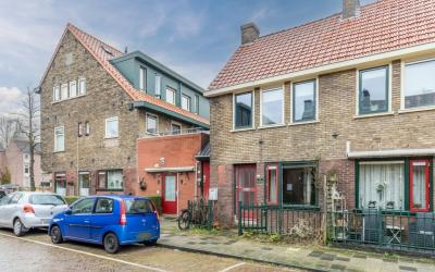 Goudsbloems. 2