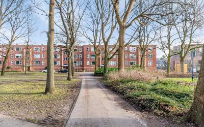 Pioenstraat 24
