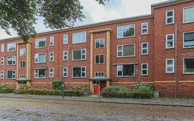 Pioenstraat 36