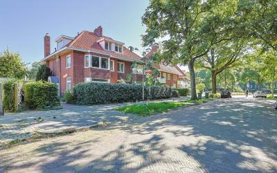 Koninginnel. 17