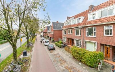 Hoendiep 81