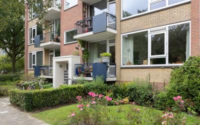 Groen van P. 83