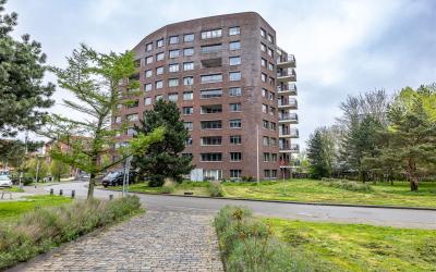 De Brink 67