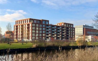 Helperpark 334