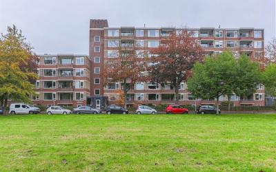 Wenckebachl. 14