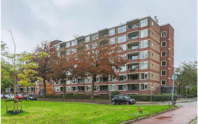 Wenckebachl. 46